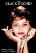 The Black Orchid
