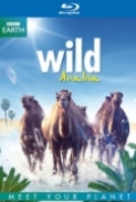 Wild Arabia